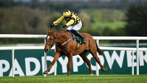 State Man is a best price of 1-3 to make a winning seasonal debut at Punchestown