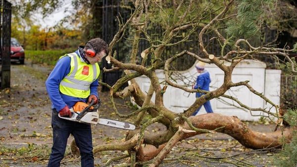 A man cuts a fallen tree on the Dublin Road in Dundalk, Co Louth