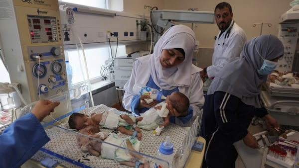 Palestinian medics care for premature babies evacuated from Al-Shifa Hospital at the Emirates Hospital in Rafah